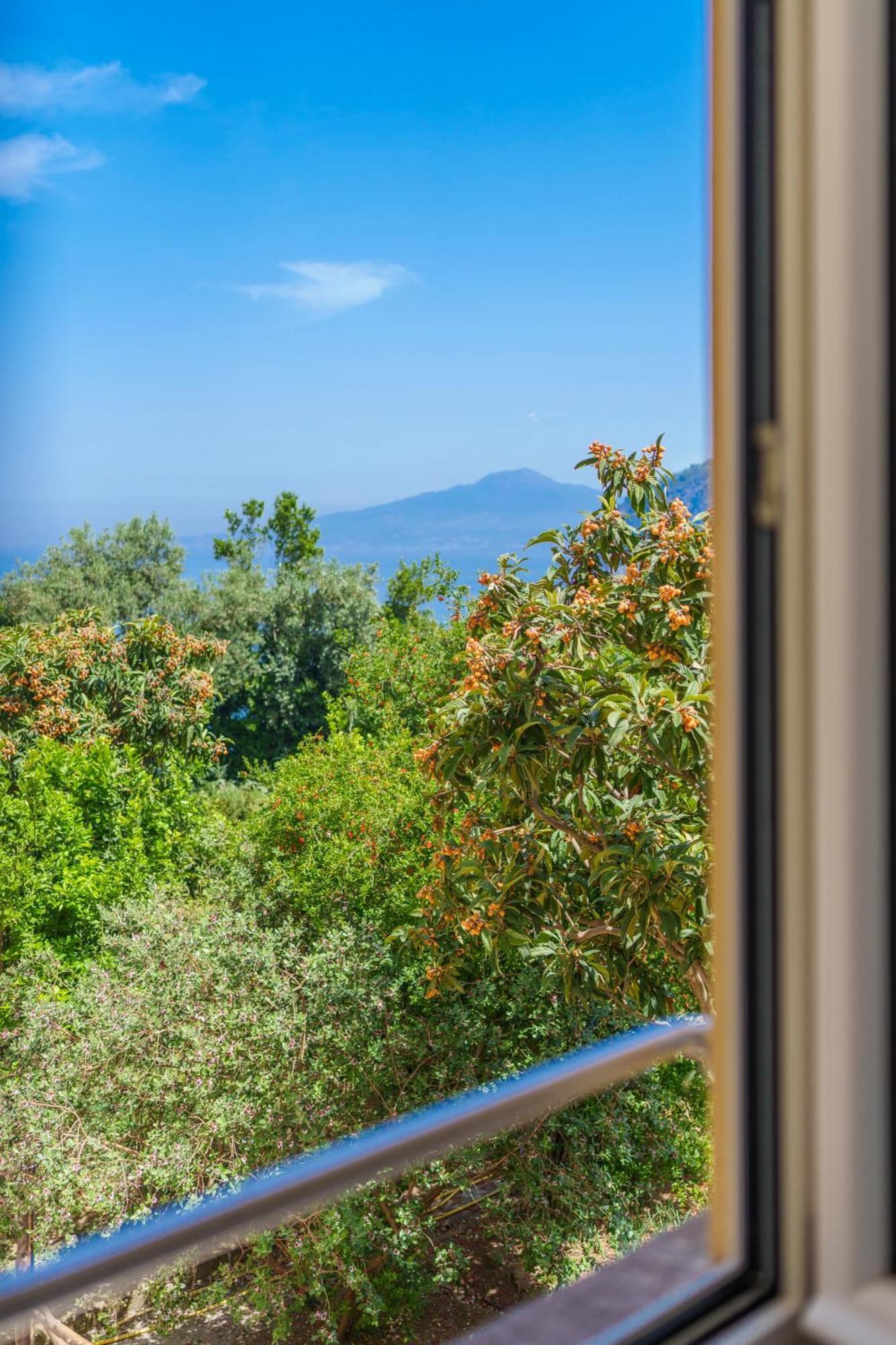 Villa Preziosa Al Pizzo 3 Km Da Sorrento Sant'Agnello Exterior photo